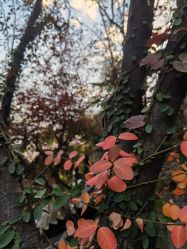 -后宫·古装汉服京剧儿童亲子全家福摄影