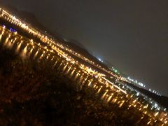 -羊山湖公园