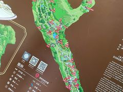 -东明山森林公园