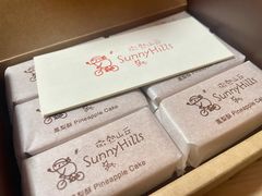 -微热山丘(桃园机场店)