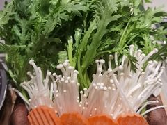 -蝎王府羊蝎子(西直门店)