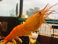 -萨芭蒂高空花园餐酒吧
