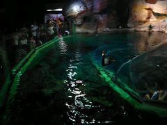 -上海海洋水族馆-停车场