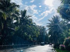 -西双版纳傣族园