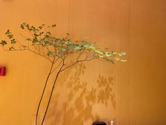 -本逸·割烹料理(湖墅店)