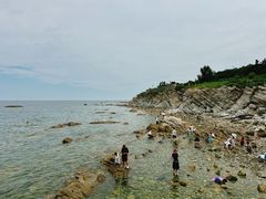 -养马岛旅游度假区