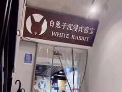 -白兔子密室(长寿路店)