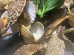 -上海师范大学西部食堂