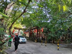 -大树头森林餐厅(番禺广场店)