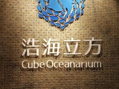 -成都浩海立方海洋公园