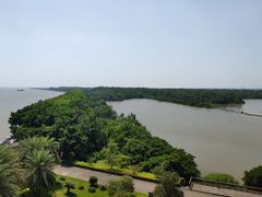 -大湾区中央湿地公园