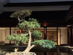 -苏州吴宫泛太平洋酒店