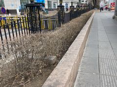 -哈尔滨医科大学附属第一医院(南岗院区)