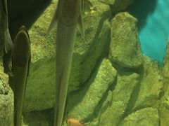 -福州罗源湾海洋世界旅游区