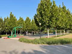 -永定河休闲森林公园