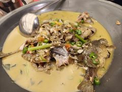 -饭怕鱼·黄焖鲟龙鱼(湖大店)