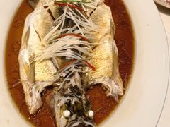 -丹江渔村(望京店)