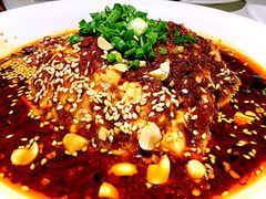 口水鸡-渝信川菜(华盛店)