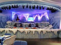 -帝企鹅自助餐厅•儿童岛•真企鹅(长隆企鹅酒店)