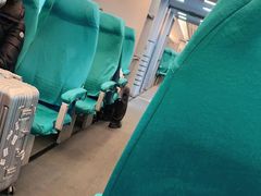 -龙阳路磁悬浮列车总站-停车场