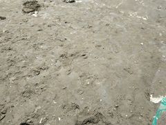 -台山黑沙湾海浴场
