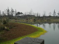 -桤木河湿地公园