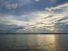 -宝安西湾红树林湿地公园