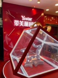 点击看大图 -Yestar杭州艺星医疗美容医院