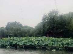 -西湖游船
