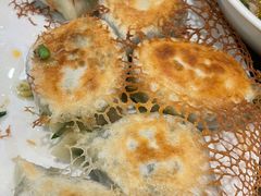 素锅贴-葛记焖饼(伏牛路店)