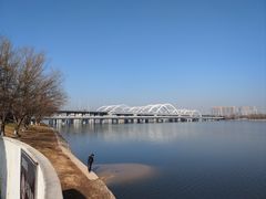 -灞河西岸滨河公园