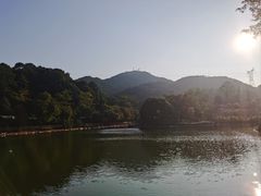 -广州市帽峰山景区