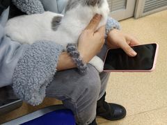 -芭比堂宠物医院·全科爱猫医院·仁德分院