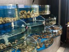 -蓝珊甄选海鲜自助·火锅大排档(近阿那亚店)