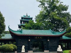 -桂湖森林公园