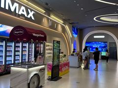 -万达影城(汉街万达广场IMAX店)