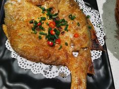 -九府羊·鲜羊火锅·烤串(新华路店)