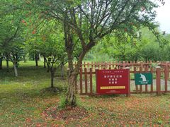 -梁鸿国家湿地公园