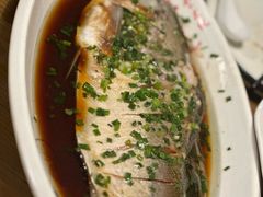 -扬州狮子楼·非遗淮扬菜(东关街店)