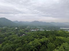 -西湖外事游船(花港观鱼码头)