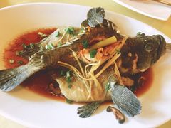 -真浪大家乐海鲜餐馆