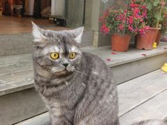 -元氏钵仔糕(北京路店)
