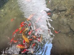 -雁荡山三折瀑景区