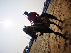 -东戴河风景区-止锚湾