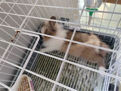-小意思咖啡店(草桥店)