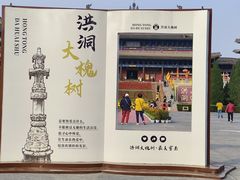 -大槐树寻根祭祖园
