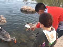 -鄂尔多斯野生动物园