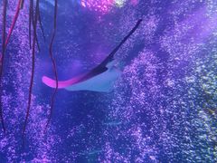 -沈阳海洋探索中心