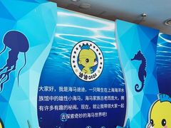 -上海海洋水族馆