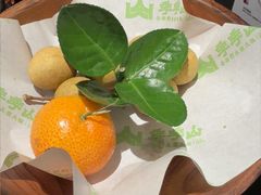 -季季山·云南野生菌火锅(上海首店)